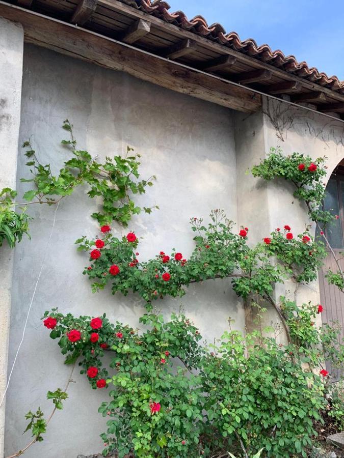 Agriturismo Corte San Girolamo Mântua Exterior foto